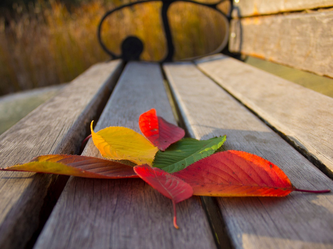 Semyung University-堤川市必去景点