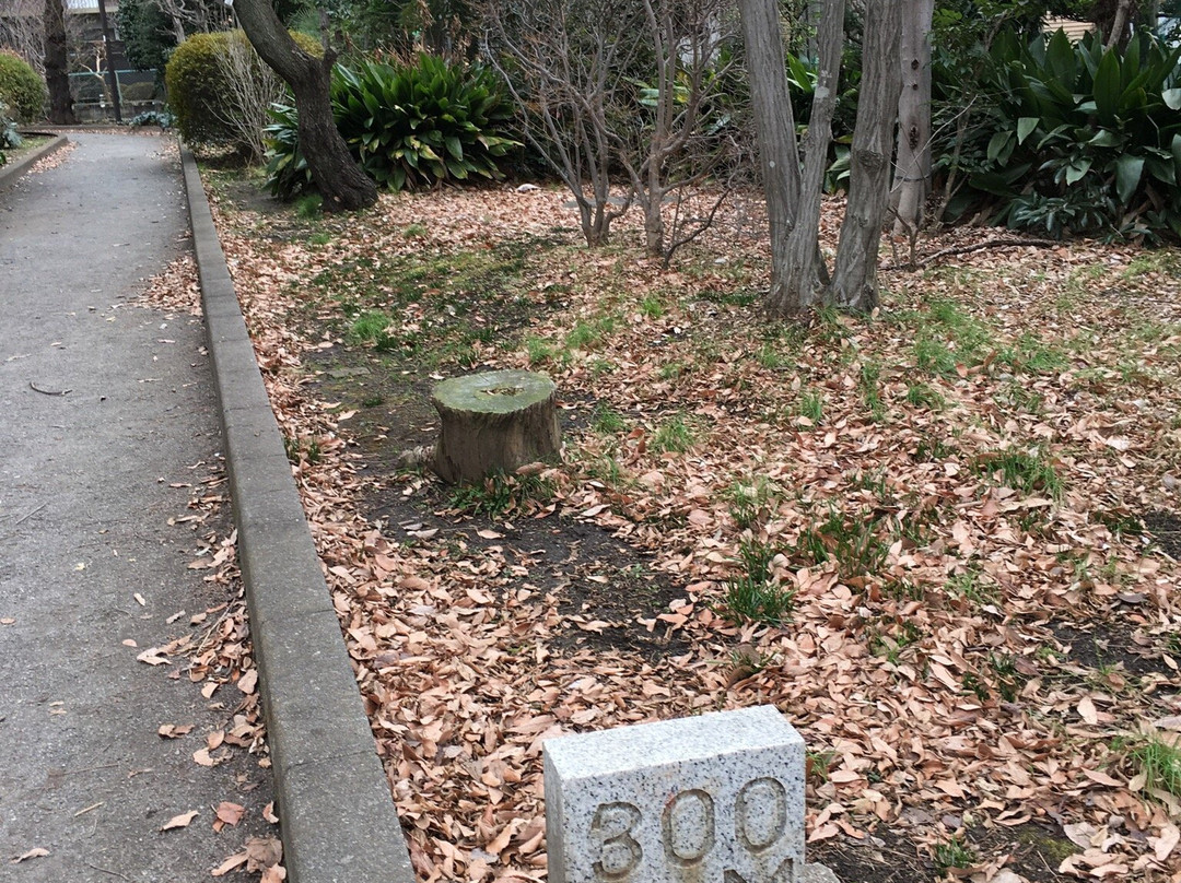 Nogawa Ryokuchi Park-狛江市必去景点