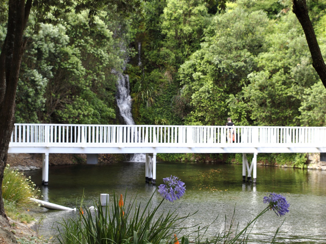 Centennial Garden-纳皮尔必去景点