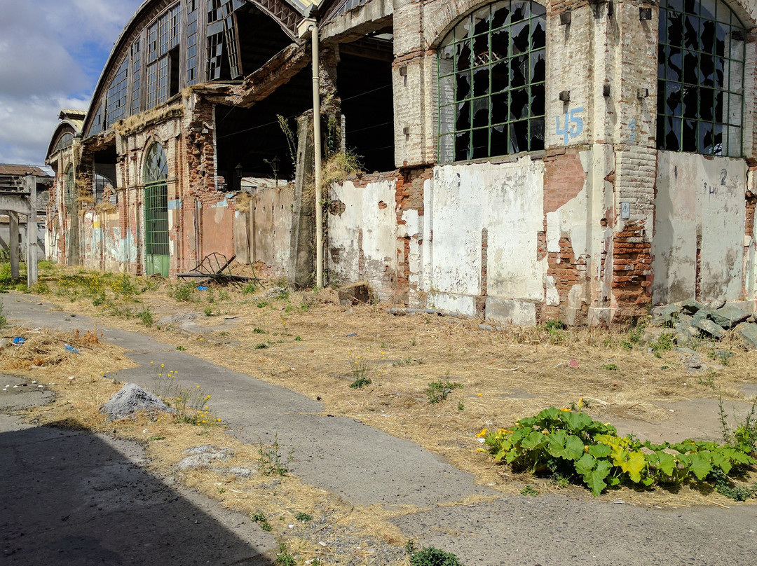 Mercado Central Municipal de Talca-塔尔卡必去景点
