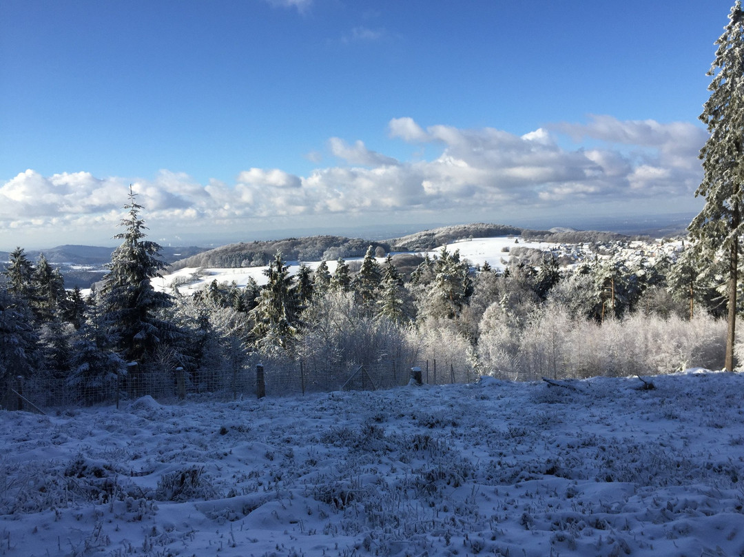 Absteinach旅游攻略图片