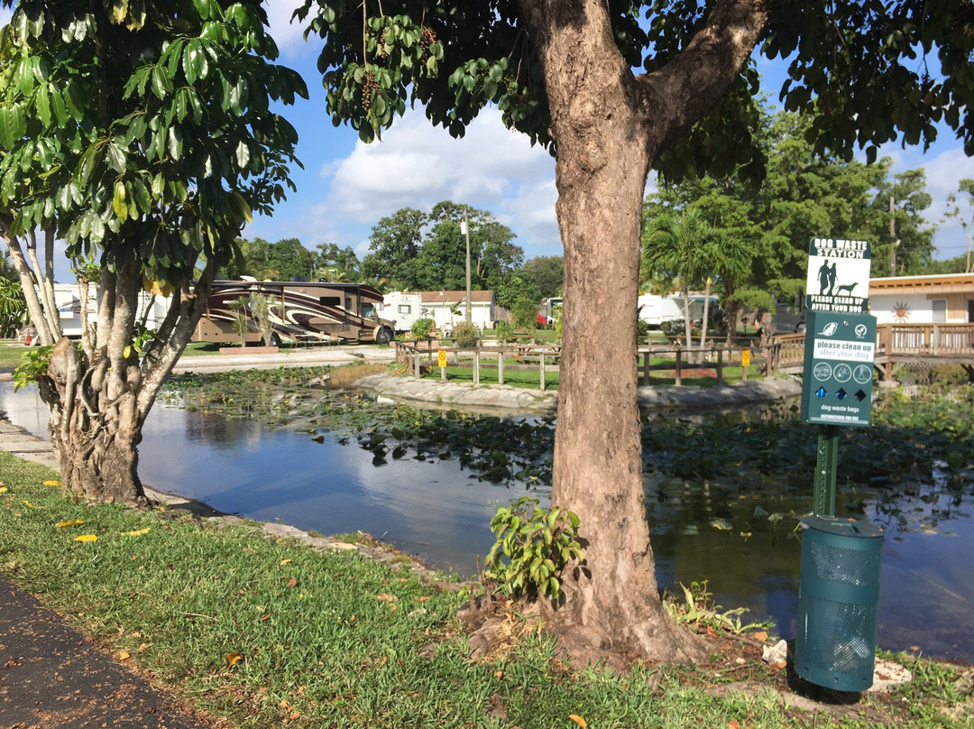 Davie / Fort Lauderdale KOA