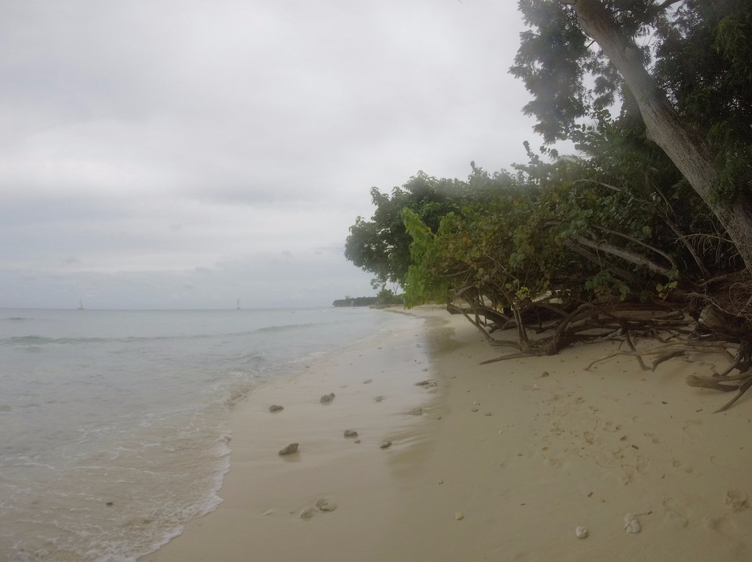 Blue Monkey Beach-圣詹姆斯必去景点
