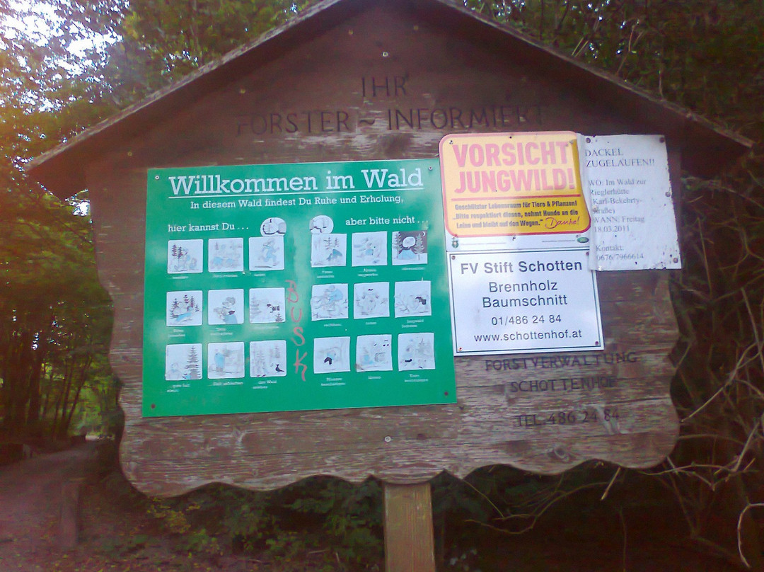 Zum Ochsenkopf主图