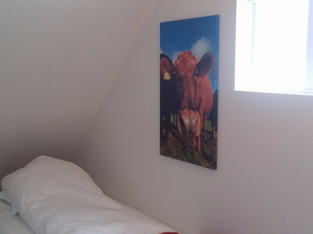 Grand-Inn Bar and Bed