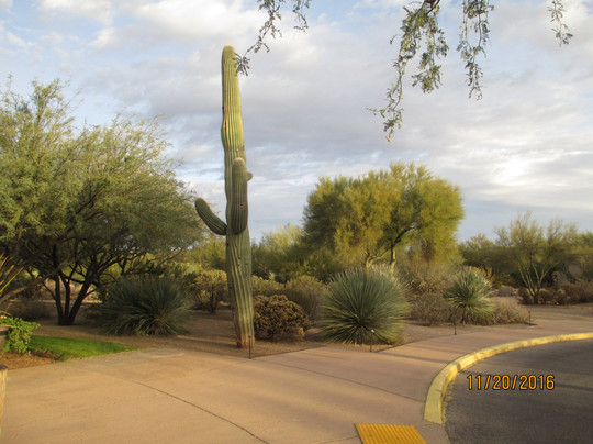 The Golf Club At Vistoso-图森必去景点