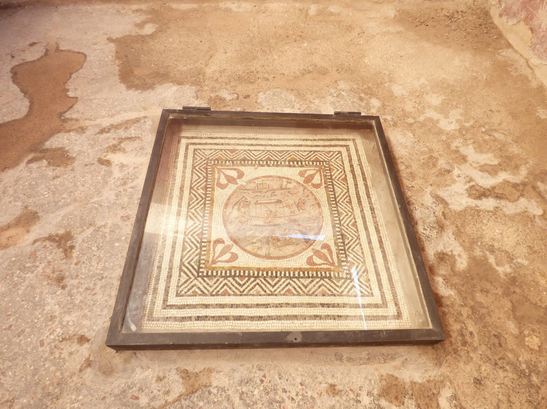House of Paquius Proculus-庞贝必去景点