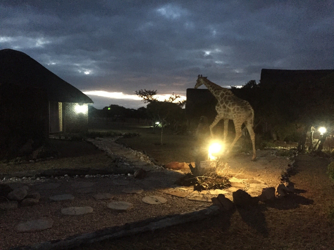 Charihandra Game Lodge