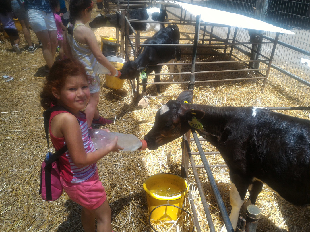 Shvil Parot HaChalav (Milky Cow Way)-Beit Lechem Haglilit必去景点