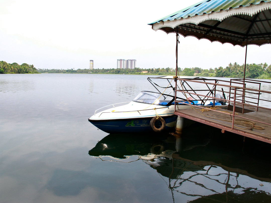 The Village Nook景点图片