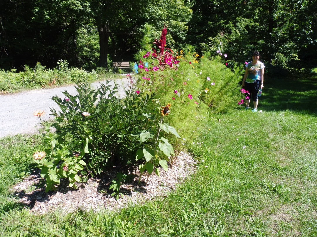 Morgan Arboretum-Sainte-Anne-de-Bellevue必去景点