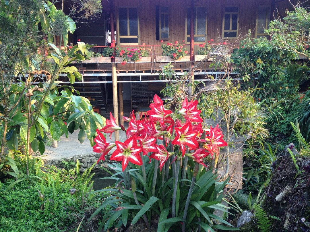 Ta Phin Stone Garden Ecological