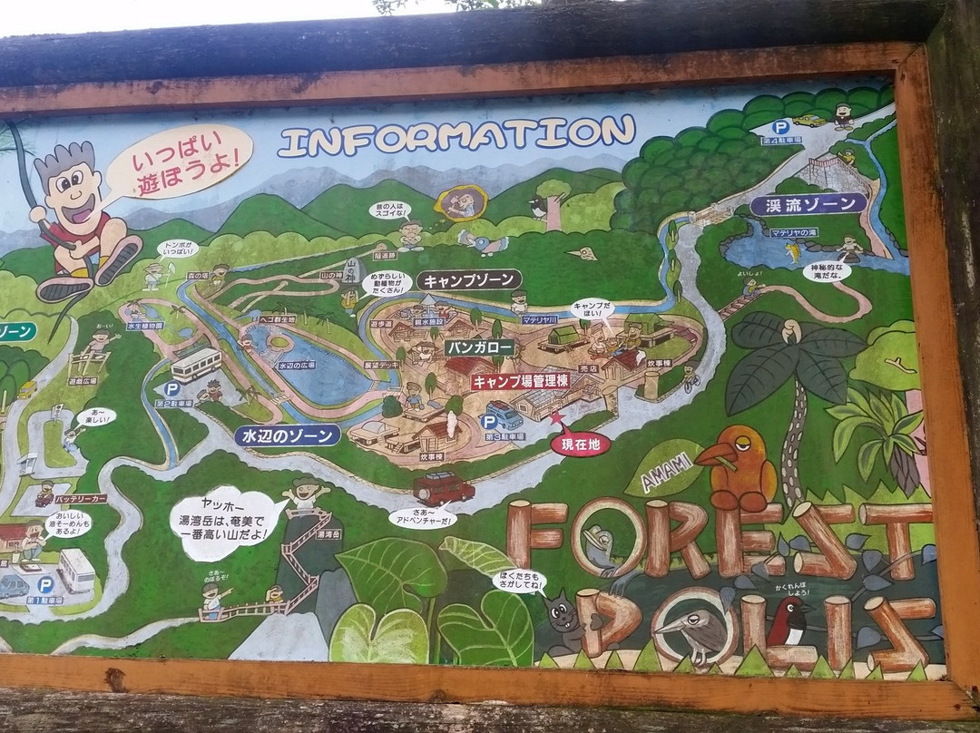 Amami Forest Police景点图片