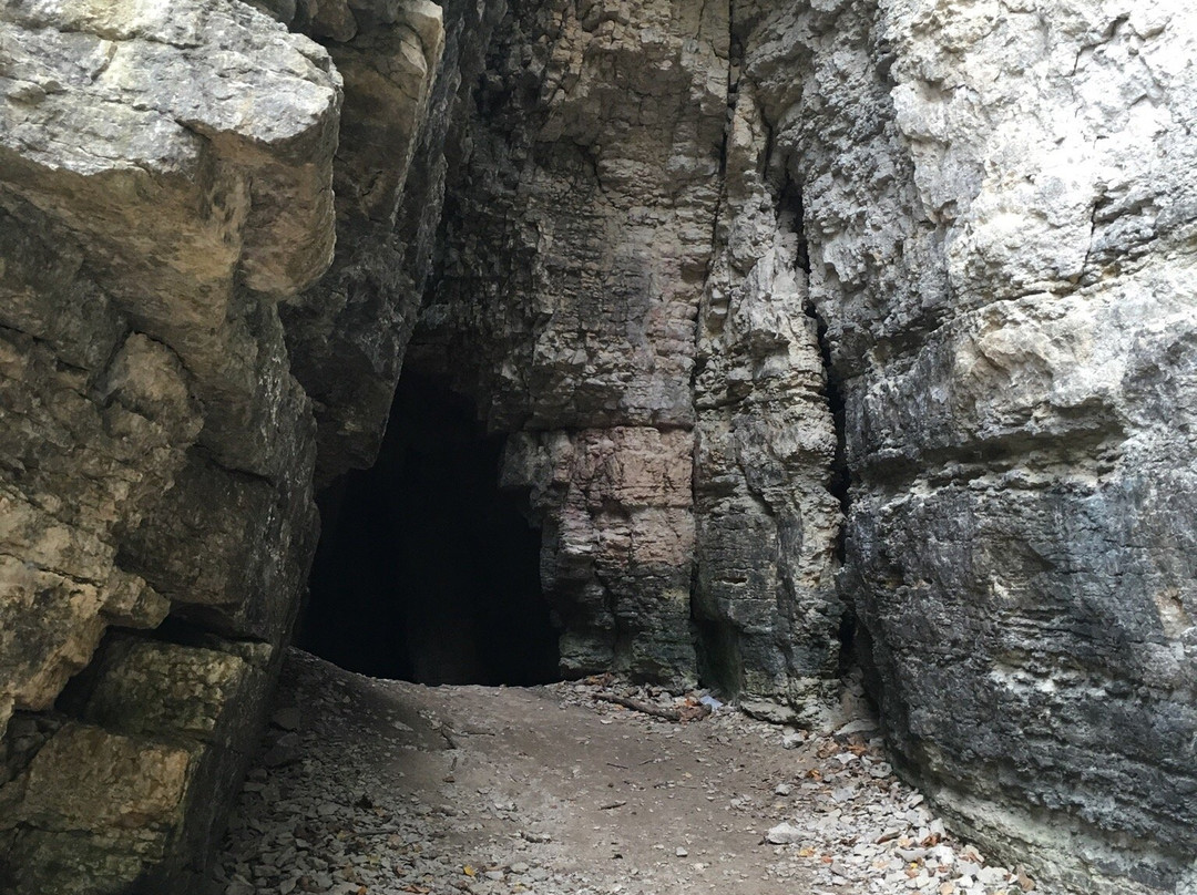 Ice Cave景点图片