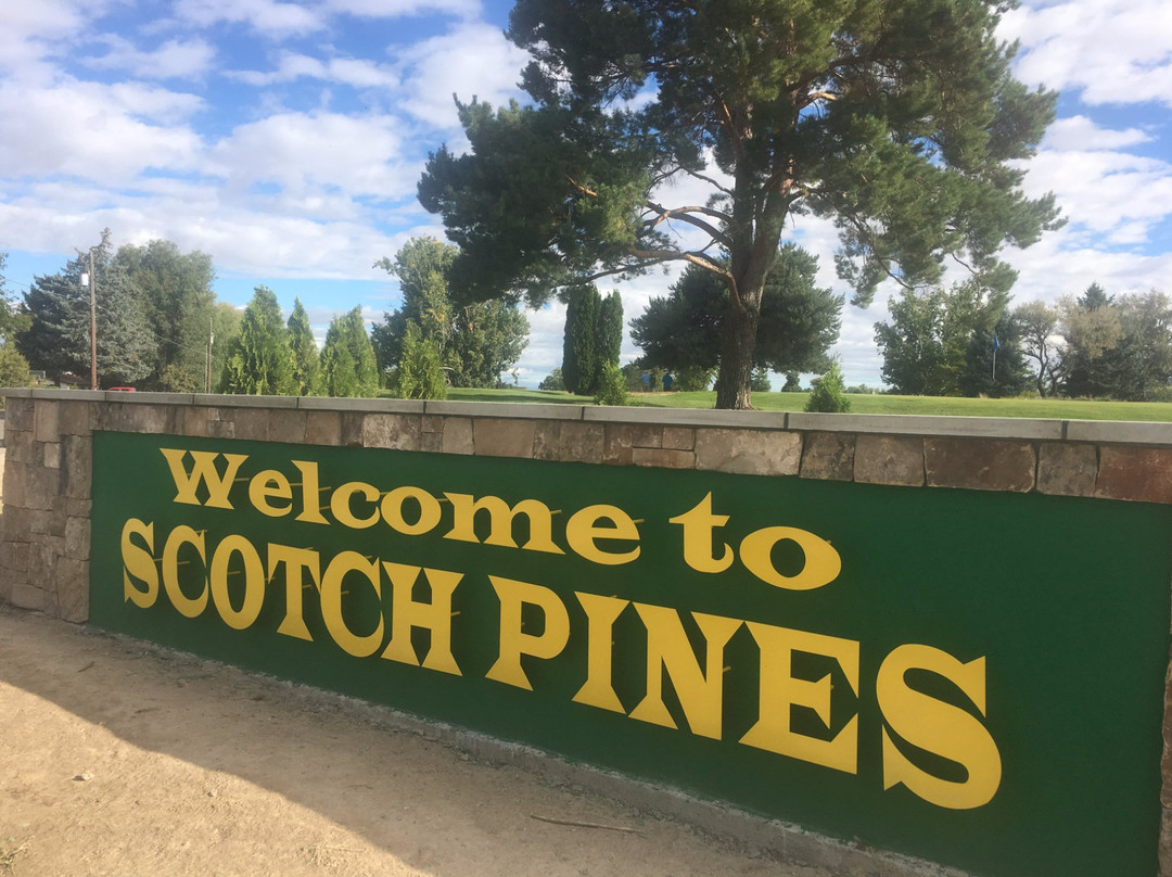 Scotch Pines Golf Course景点图片