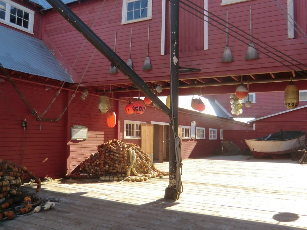 Chichagof Island-朱诺必去景点