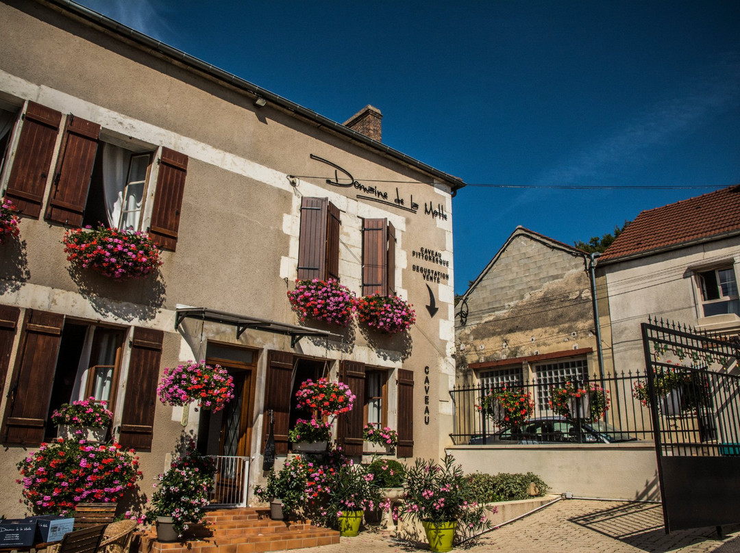 Domaine de la Motte - Chablis Michaut景点图片