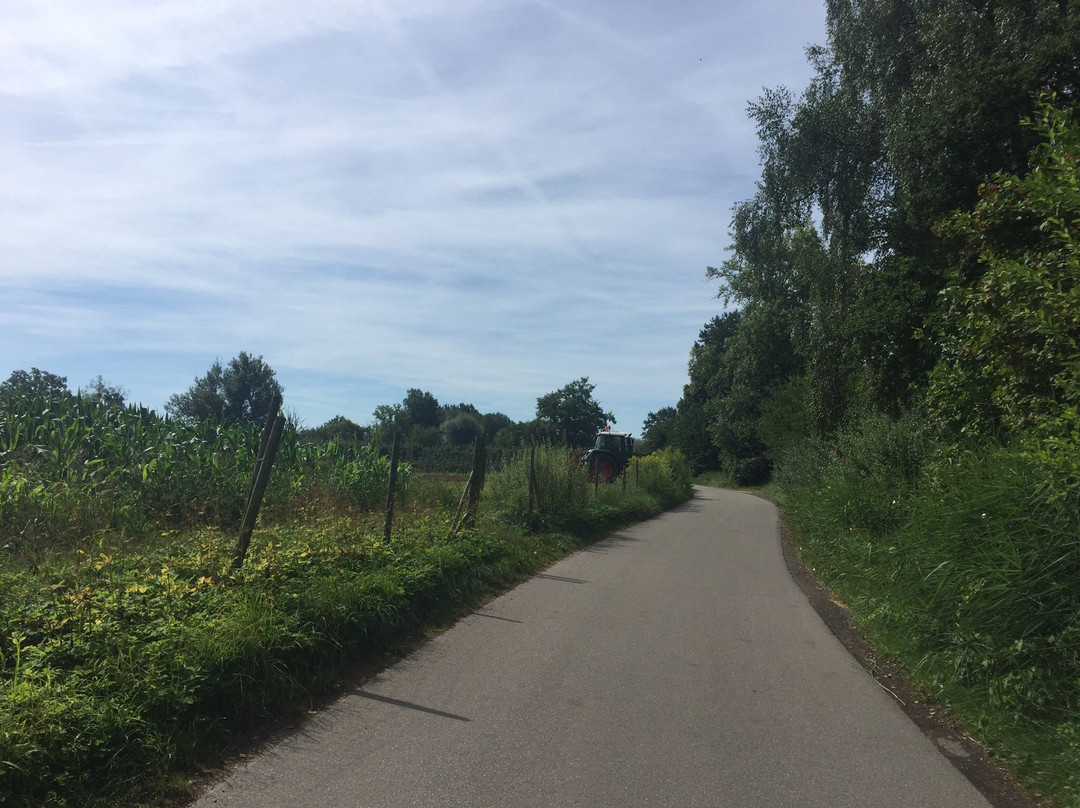 Radtour Friedrichshafen景点图片