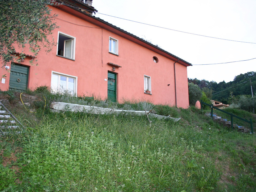 MammaRo Colletto