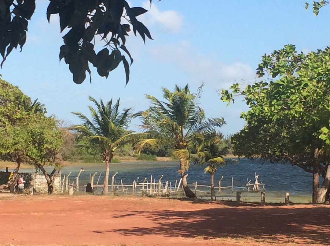 Lagoa da Cutia景点图片