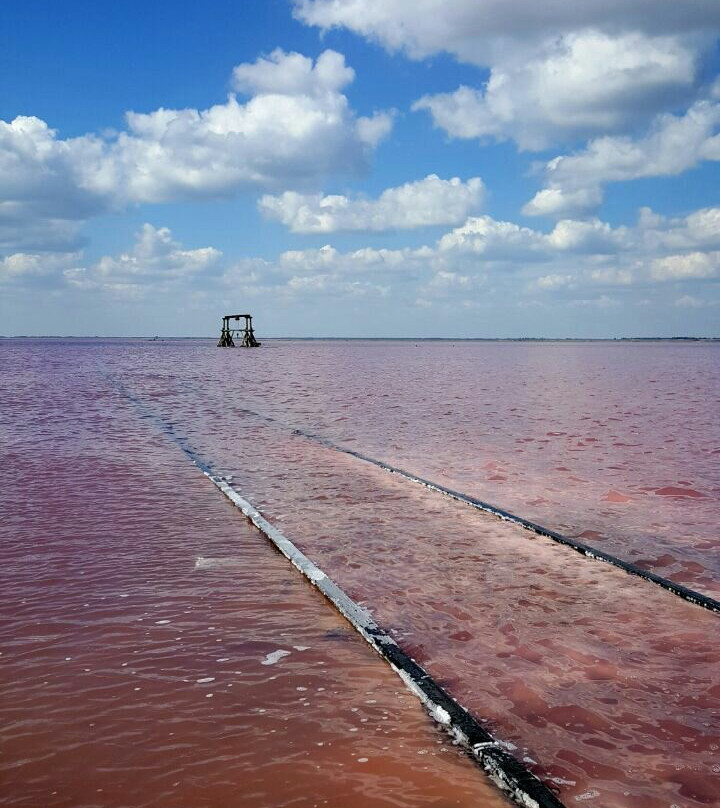 Burlinskoye Lake-Slavgorod必去景点