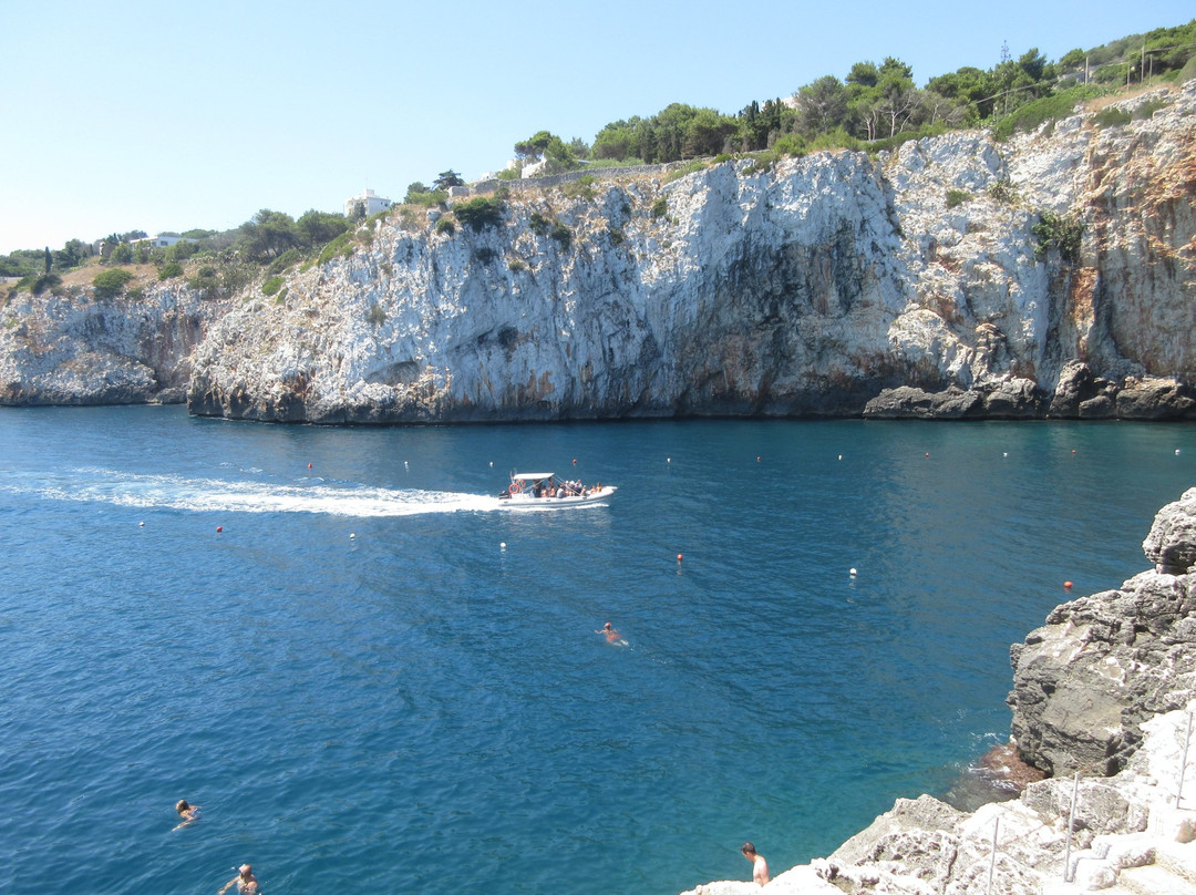 Castro旅游攻略图片