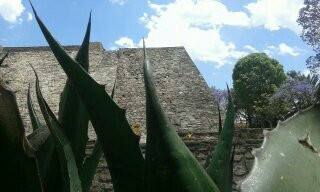 Zona Arqueológica Tenayuca景点图片