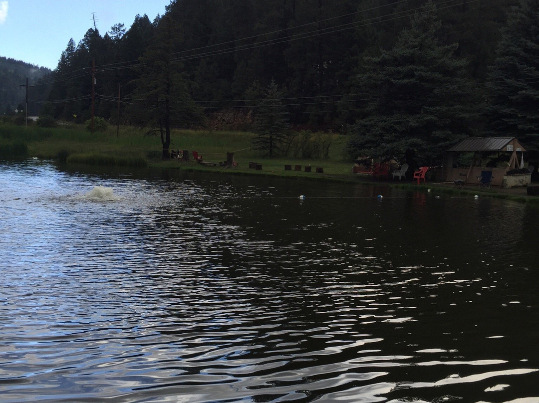 Silver Springs Fishing Pond-Cloudcroft必去景点