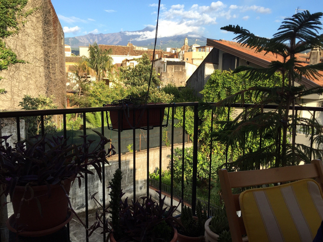 Macchia酒店住宿-Tortugas B&B