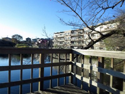 Imaizumi Meisui Sakura Park-秦野市必去景点