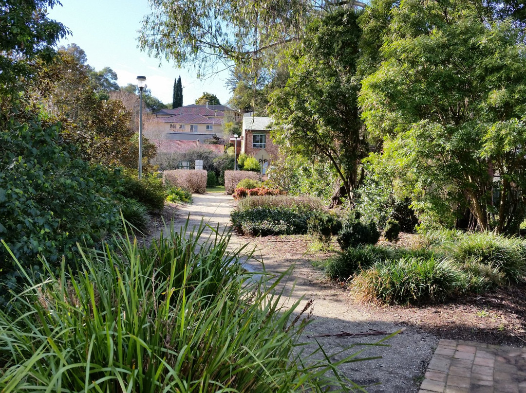 Picton Botanic Gardens景点图片