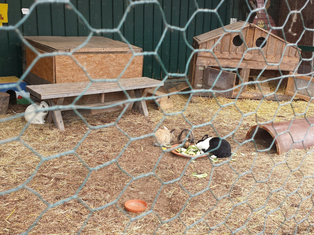 Krewelshof-Lohmar必去景点