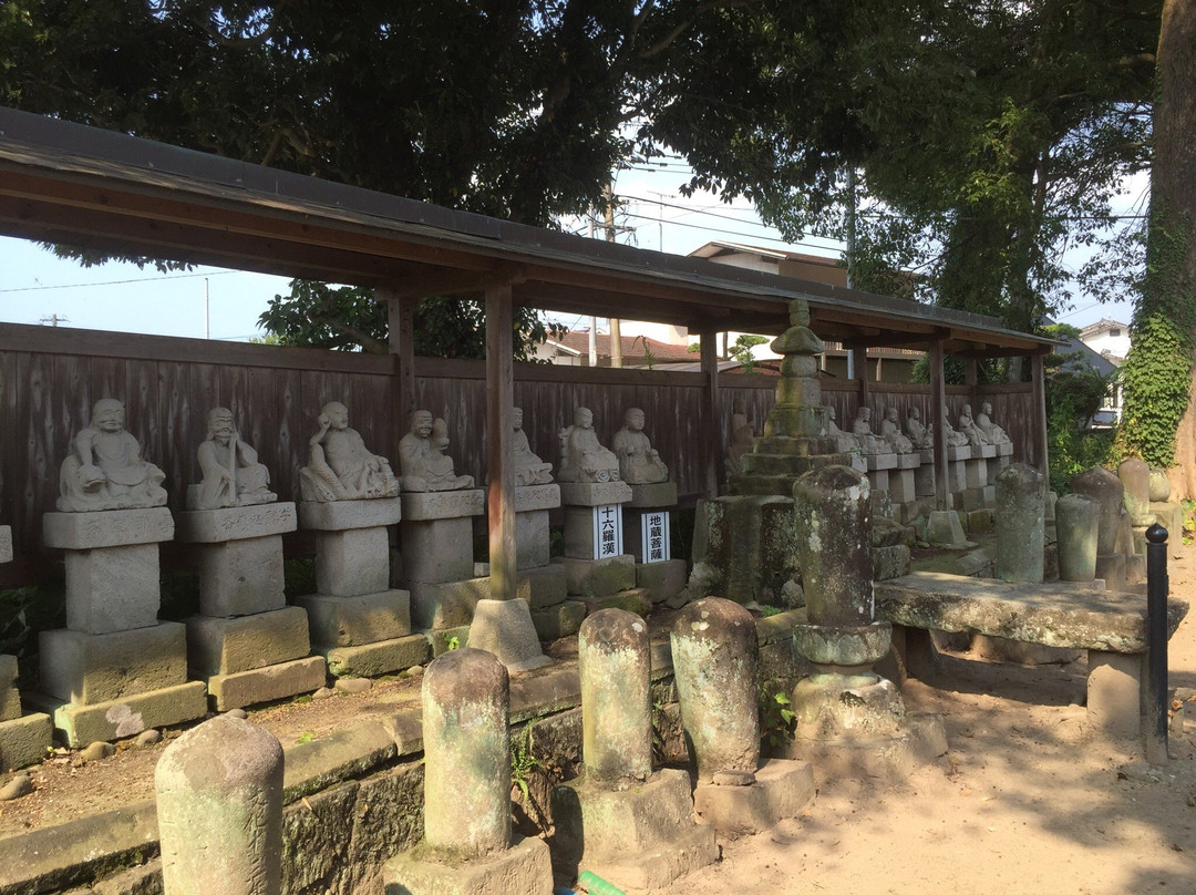 Tokoji Temple Five Hundred Arhats景点图片