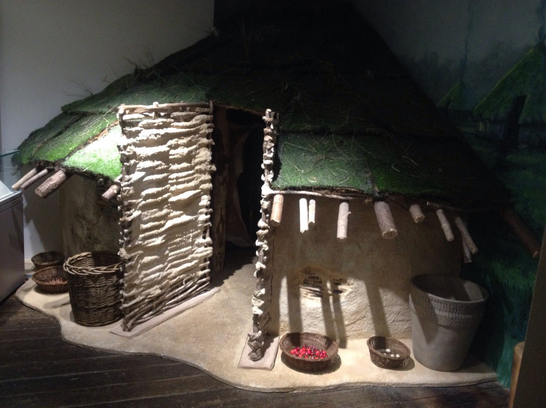 Wiltshire Museum-迪韦齐斯必去景点