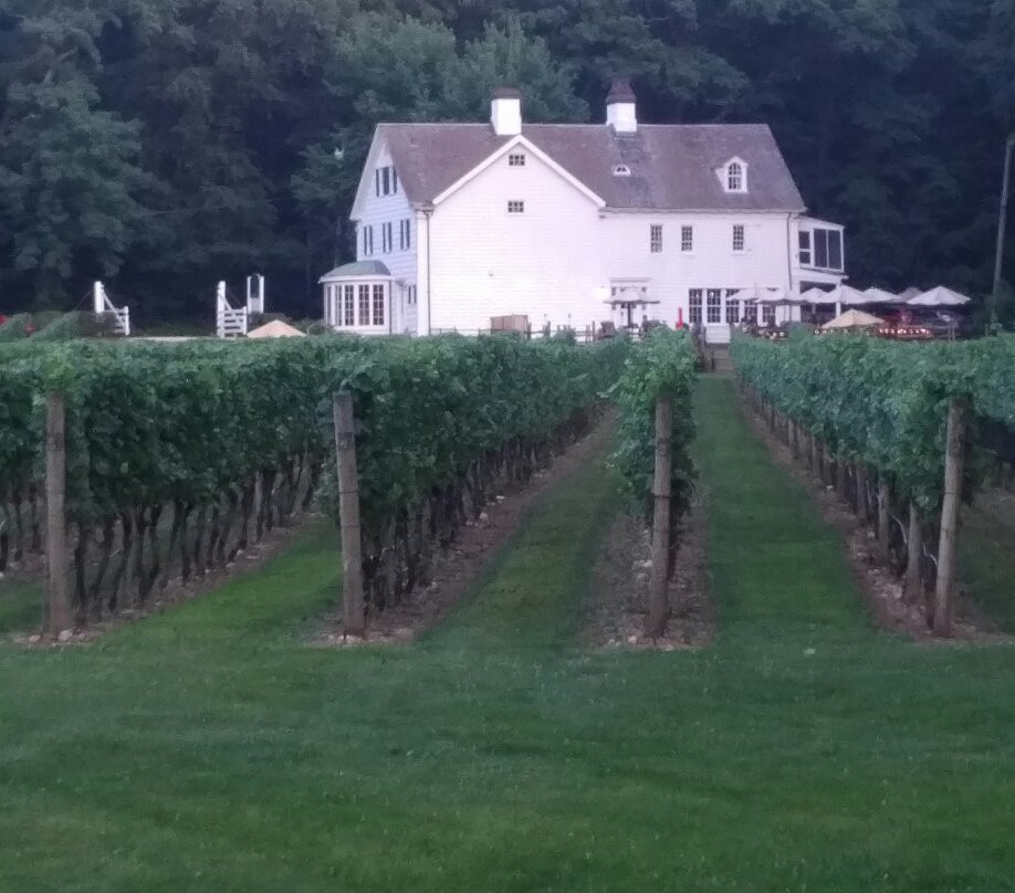 Harmony Vineyards-Head of the Harbor必去景点