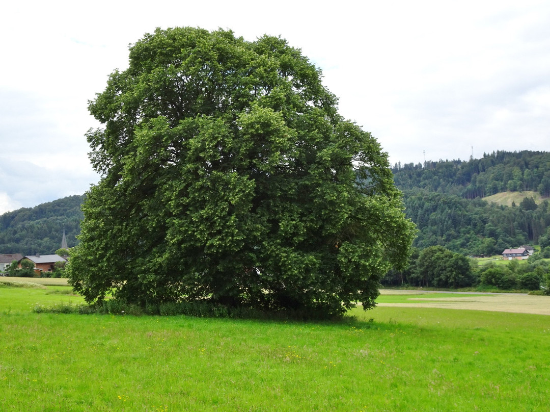 NationalparkZentrum Kellerwald-Vohl必去景点