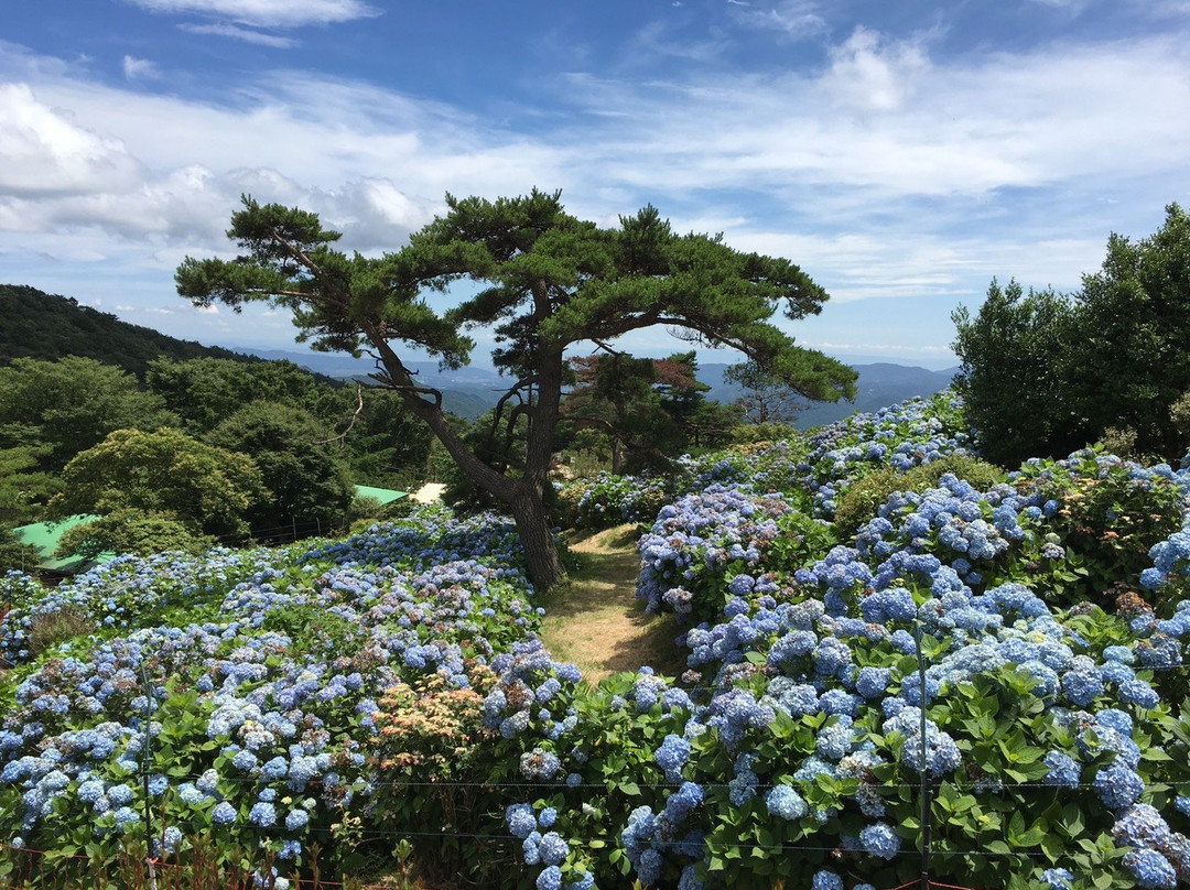 Astropia-猪名川町必去景点