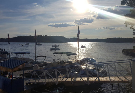 The Blue Parrot Grill-穆尔斯维尔必去景点