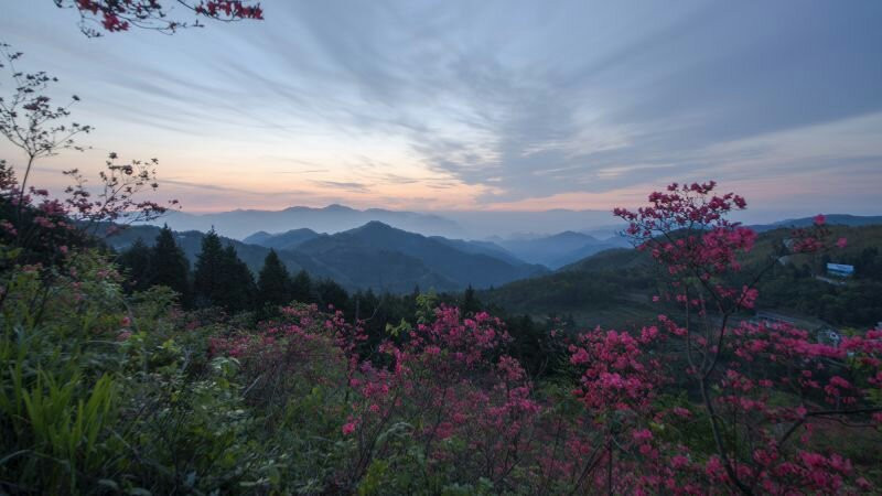 金华磐安高姥山-磐安县必去景点