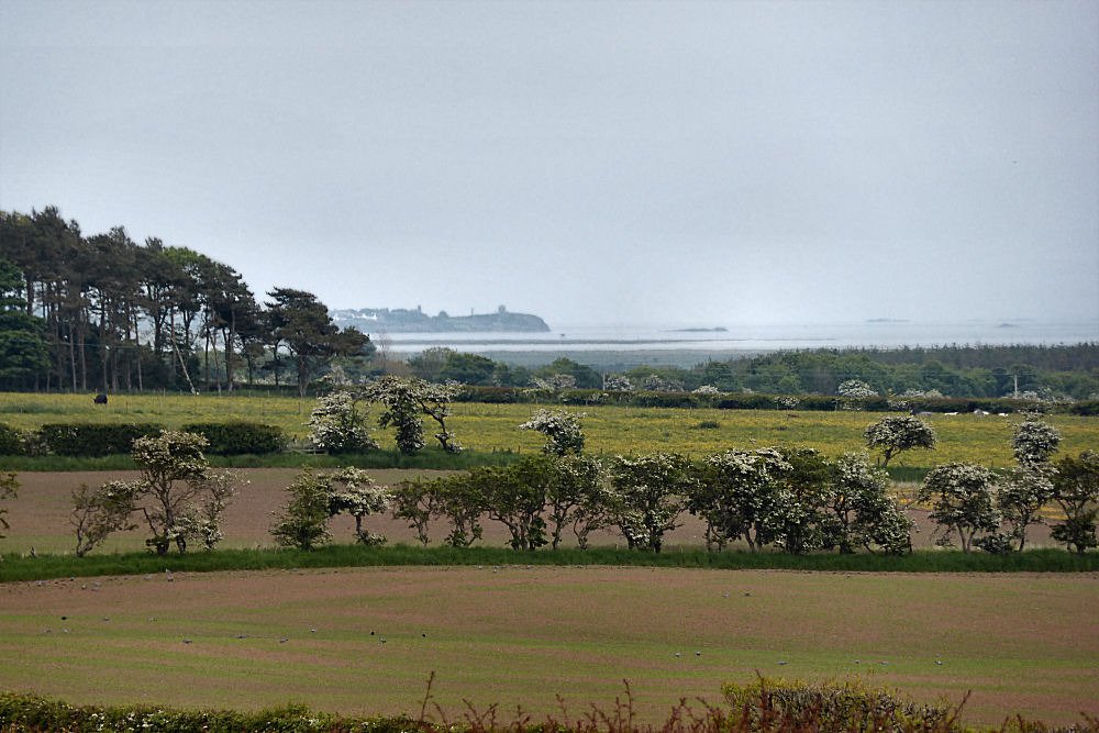 The Island View Inn-浴室