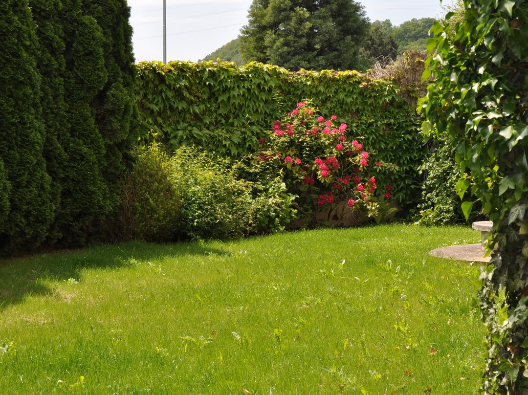 Gästehaus Wachau主图