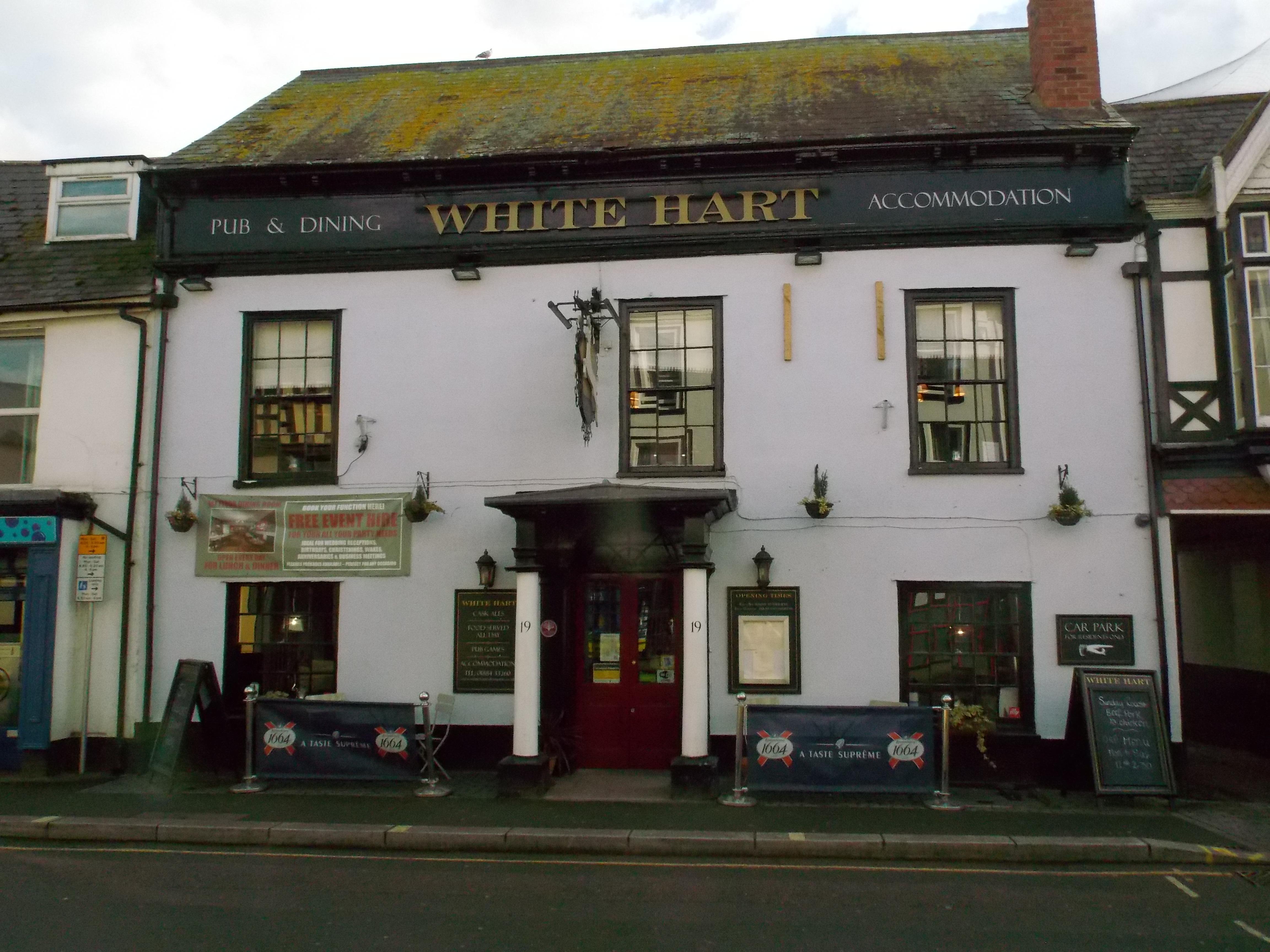White Hart-官方