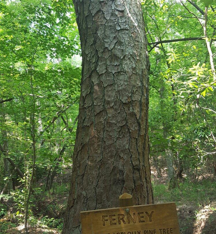 Wolf's Den Hiking Trail-Warm Springs必去景点