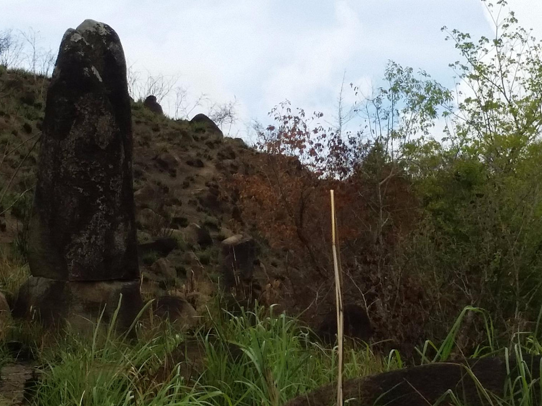 Megaliths Of Greencastle Hill-安提瓜必去景点