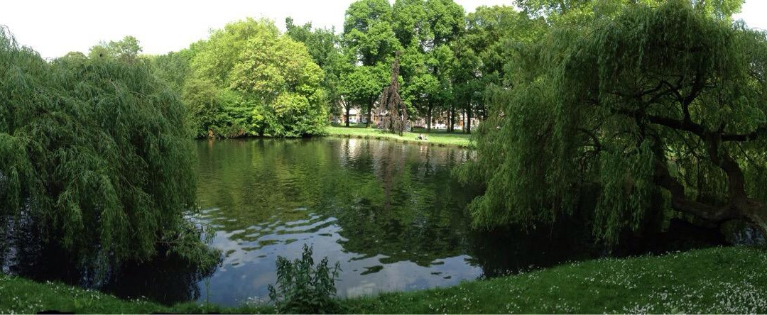 Wilhelminapark-乌特勒支必去景点
