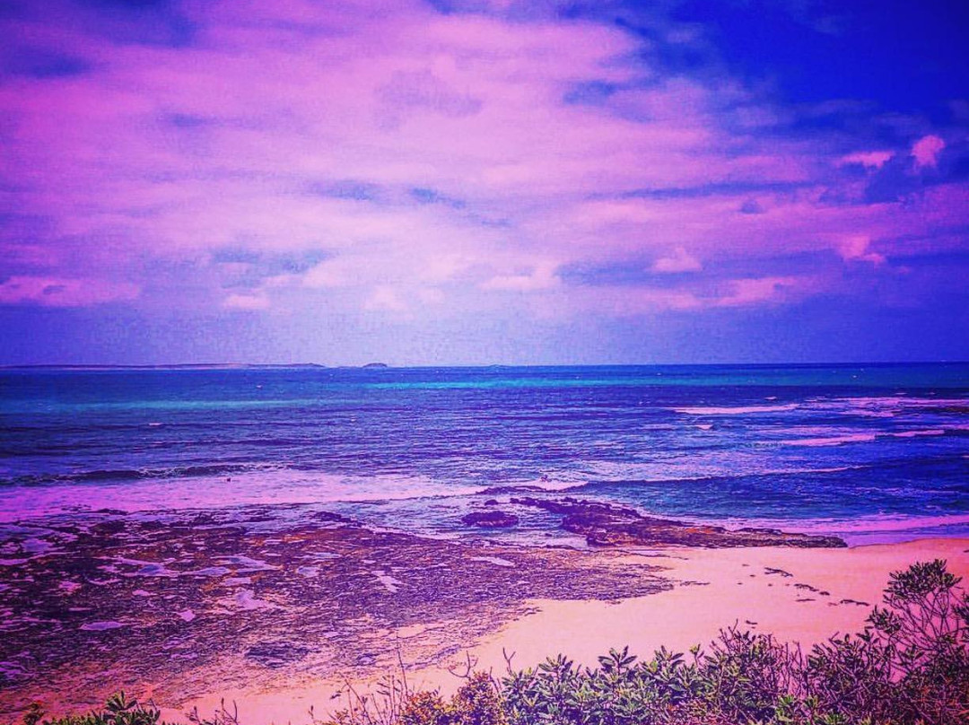 Salty Surf School景点图片