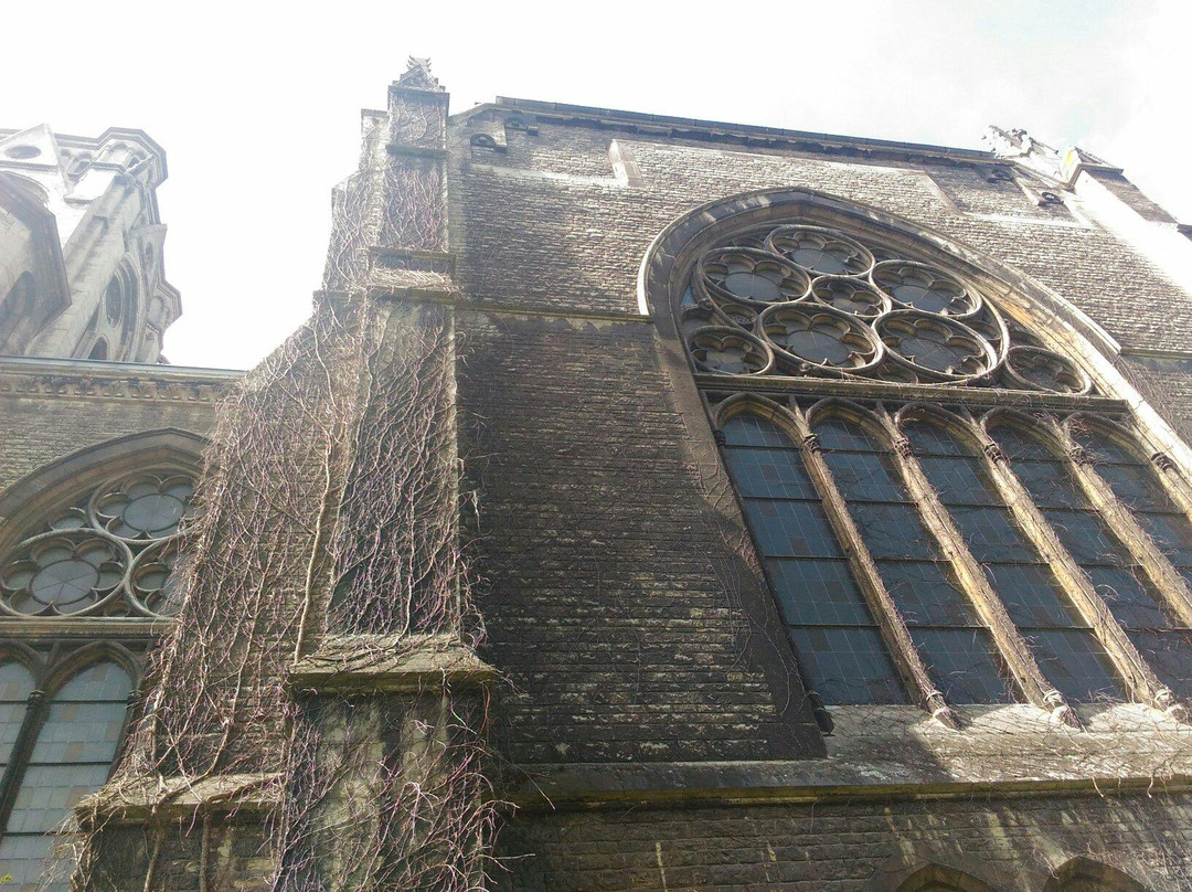 St. Pauli Kirche-布伦瑞克必去景点