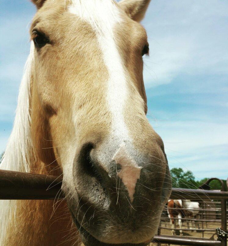 Marshall Creek Ranch-绍斯莱克必去景点