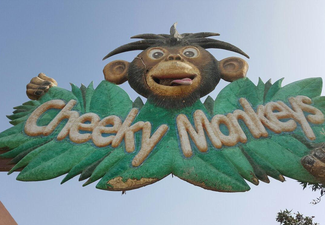 Cheeky Monkeys Playground and Amusement Center