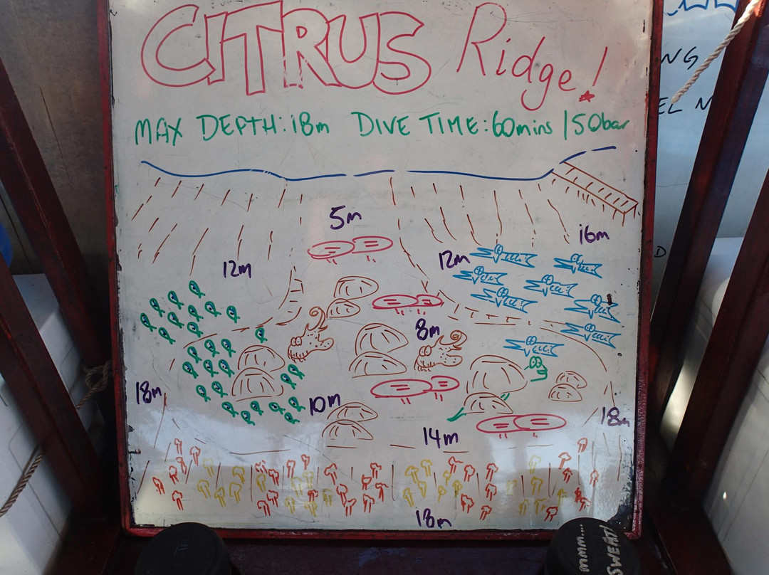 Wicked Diving Raja Ampat-索龙必去景点